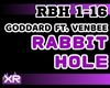 Rabbit Hole - goddard.