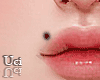 Poppy Black Mole 70