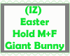 Easter Hold Giant Bunny