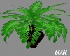 [WR]Animated Plant