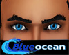 Blueocean Eyes