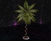 MERMAID Light Palmtree