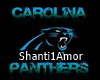 Carolina Panther Couch