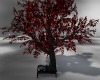 D~ Red Solitay tree