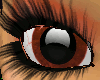 ^T^ Optical Orange Eyes