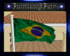 *D* Brazil Flag (A)
