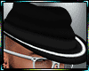 Hat +Glases+Beard