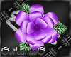 (I)Purple Rose Bracelets