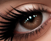 !B Desireline Eyes V5