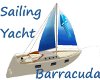 Sailing Yacht Barracuda