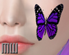 Who| Butterfly Cheek 1V2