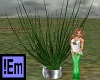 !Em Green Silv Pot Plant