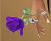 Purple Rose in Hand (F)