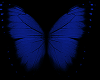 NS:Blue Butterfly Anim