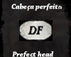 Prefect head