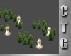 CTG GARDEN PATHWAY V4