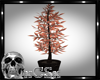 CS Monkey Plant