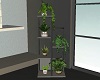 Plants Stand