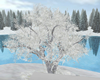 [ASP] Snowy Cherry Tree