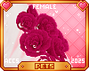 [Pets] Suki | hip roses