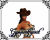 brown star cowboy hat
