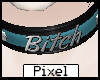 <Pp> Blue B*itch Collar