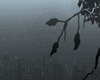TRANQUIL ANIMATED RAIN