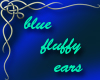 blue fluffy ears