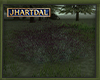 JL  Shrub 2