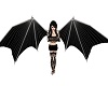 (k) black bat wings