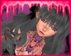 P! Dolly - Ash