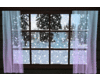 DERIVABLE-snow window