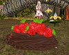 Strawberry/Chocolate 6P