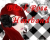 Black rose hair band~+_+