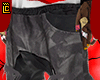pants zillakami