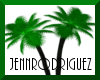 {JR}N Green Palm Trees