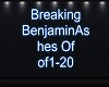 Breaking BenjaminAshes
