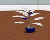 blu N white plant 2