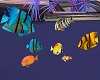 Color Tropic Fish
