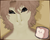 ⊹ Bug Penwo