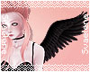 Single Black Angel Wing