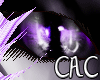 [C.A.C] PurBot Fe Eyes
