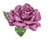 [WC]~Purple Rose~