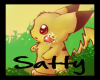seifer et satty photo