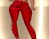 RED RLL JOGGERS BY BD