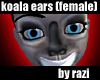 Koala Ears (F)