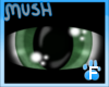 Spirii's Eyes