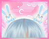 Tiara Blue Bunny