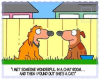 dogs chatroom
