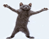 Big Animated Dancing Cat